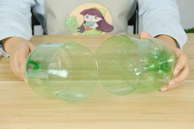 扦插繁殖的方法与容器封口技术图解